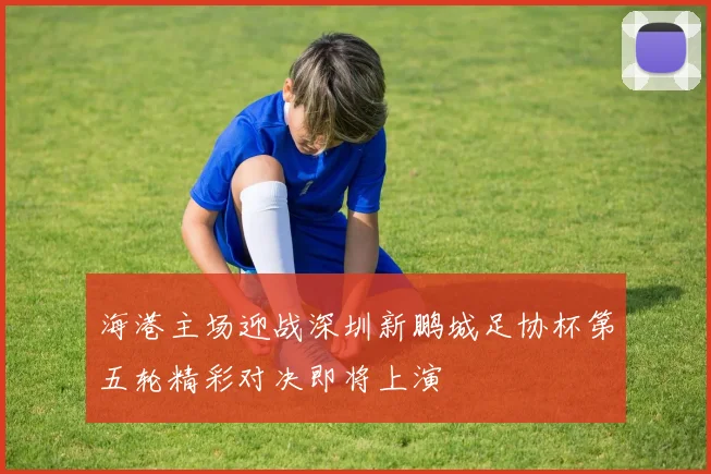 海港主场迎战深圳新鹏城足协杯第五轮精彩对决即将上演