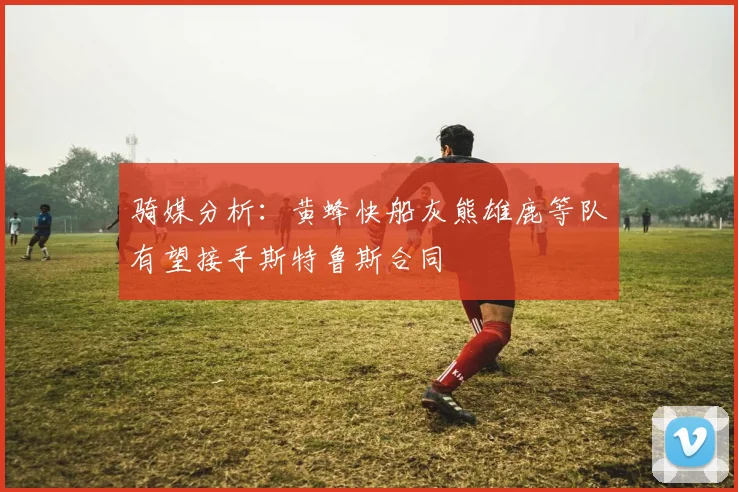 骑媒分析：黄蜂快船灰熊雄鹿等队有望接手斯特鲁斯合同