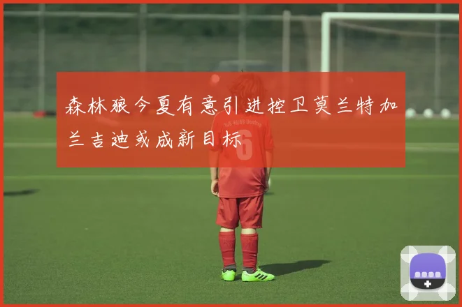 森林狼今夏有意引进控卫莫兰特加兰吉迪或成新目标